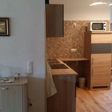 Zehrermuehle Guest house *