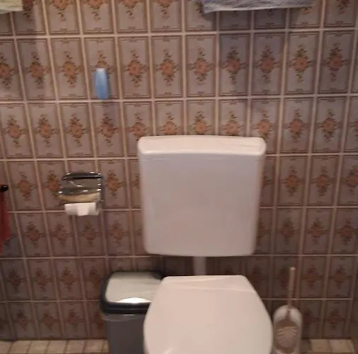 Zehrermuehle Vendégház 3*